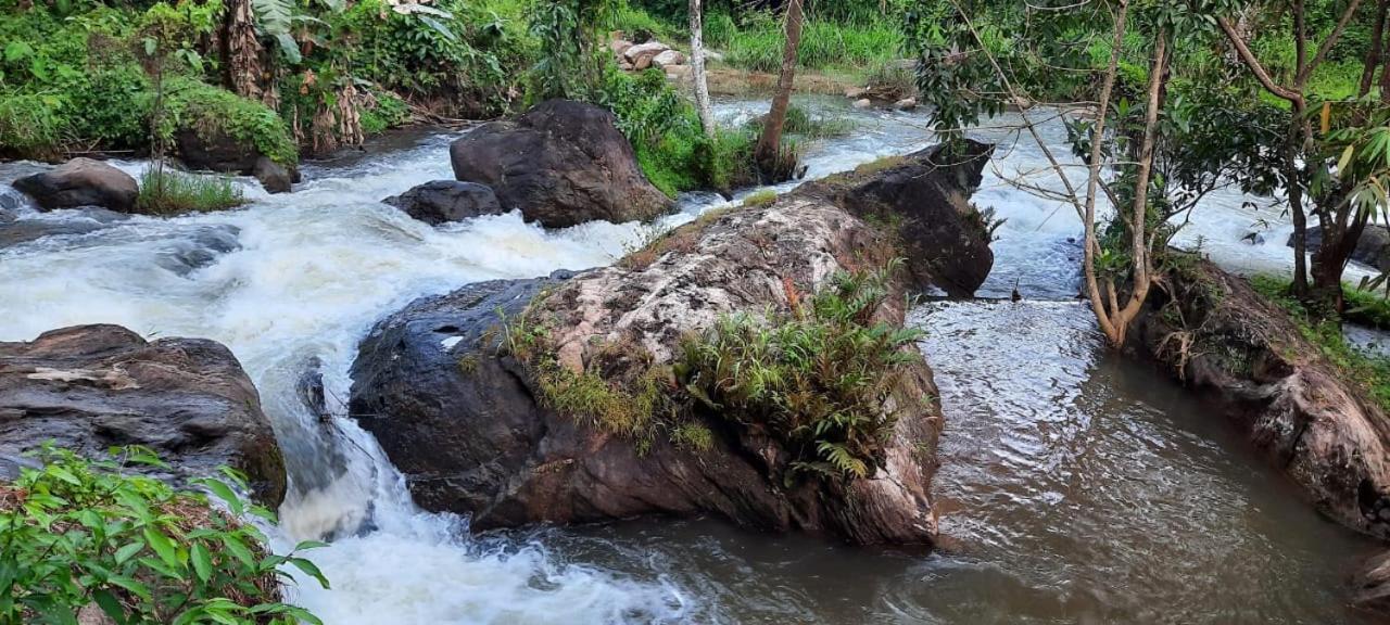 Linn View Home Stay Munnar Cameră foto